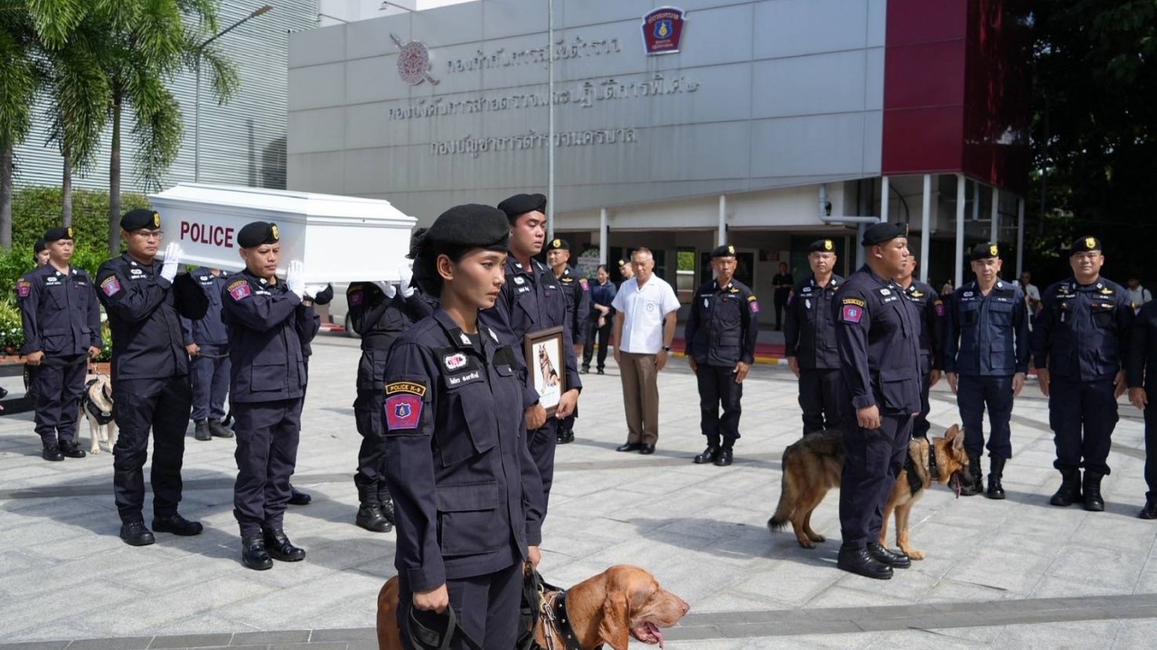 สมเกียรติสุนัขตำรวจ พิธีฌาปนกิจ "ตำรวจตรีซาโบ้" แฟนคลับ-เจ้าหน้าที่ร่วมไว้อาลัย