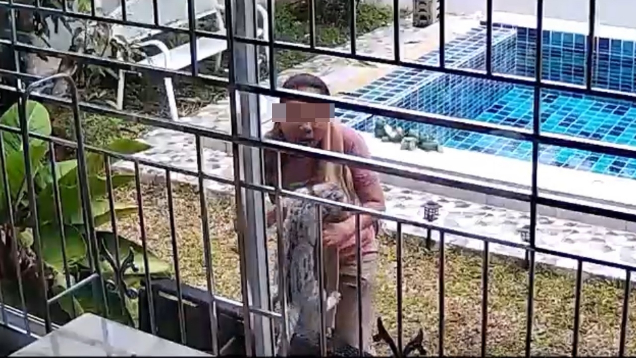 เจ้าของตั้งรางวัล 10,000 บาท ให้คนเจอแมวรัก หลังแก๊งสาวบุกบ้าน อุ้มหาย