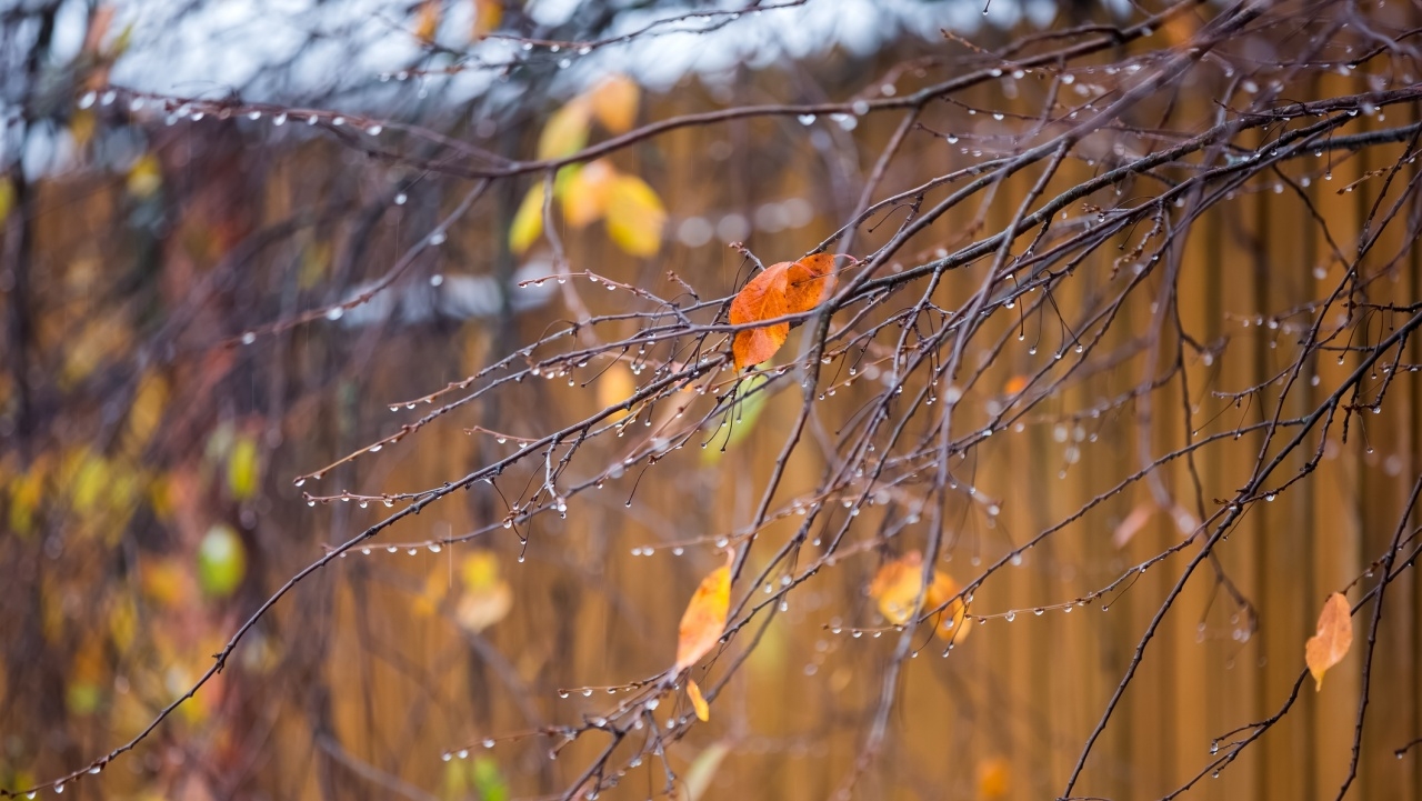 ไทยเข้าสู่ "ปลายฝนต้นหนาว" บางวันฝนตก บางวันอากาศเย็น ภาคใต้ยังมีฝนหนัก