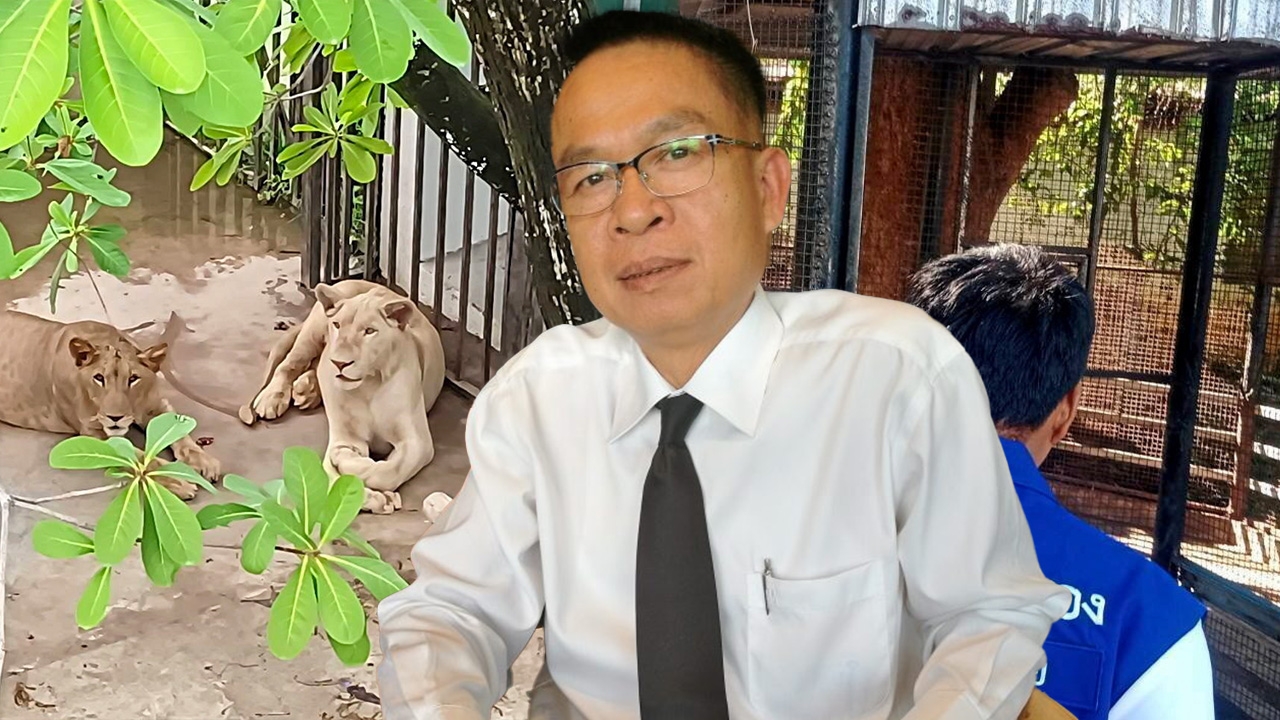 สัตว์ดุร้ายเลี้ยงเกลื่อน ช่องโหว่กฎหมายมีโทษแรง