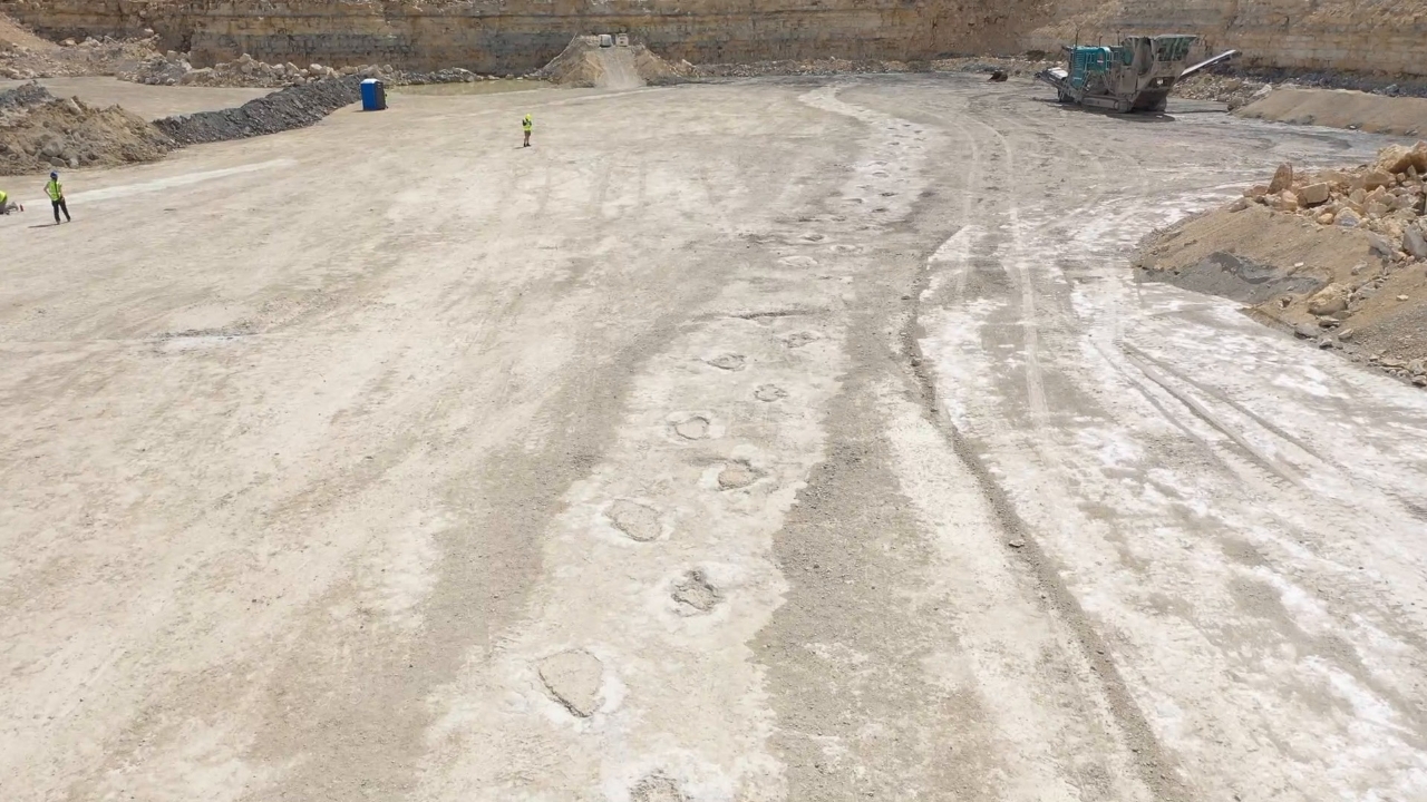 พบรอยเท้าไดโนเสาร์อายุ 166 ล้านปี ยาวกว่า 200 เมตรในเหมืองอังกฤษ