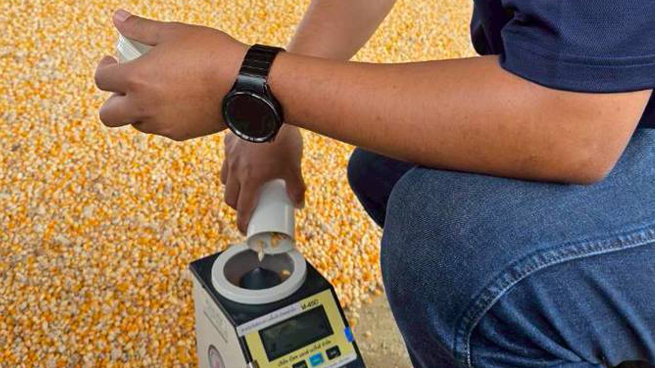 กรมการค้าภายใน ลุยตรวจเครื่องวัดความชื้นข้าวโพดทั่วประเทศ ป้องกันเกษตรกรถูกเอาเปรียบ