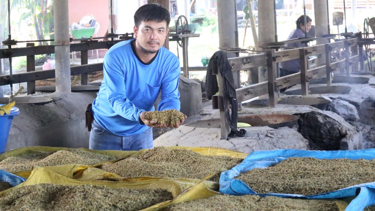 ข้าวเม่าแม่สุนาต กลิ่นหอมจากครกกระเดื่อง ต่อยอดภูมิปัญญา