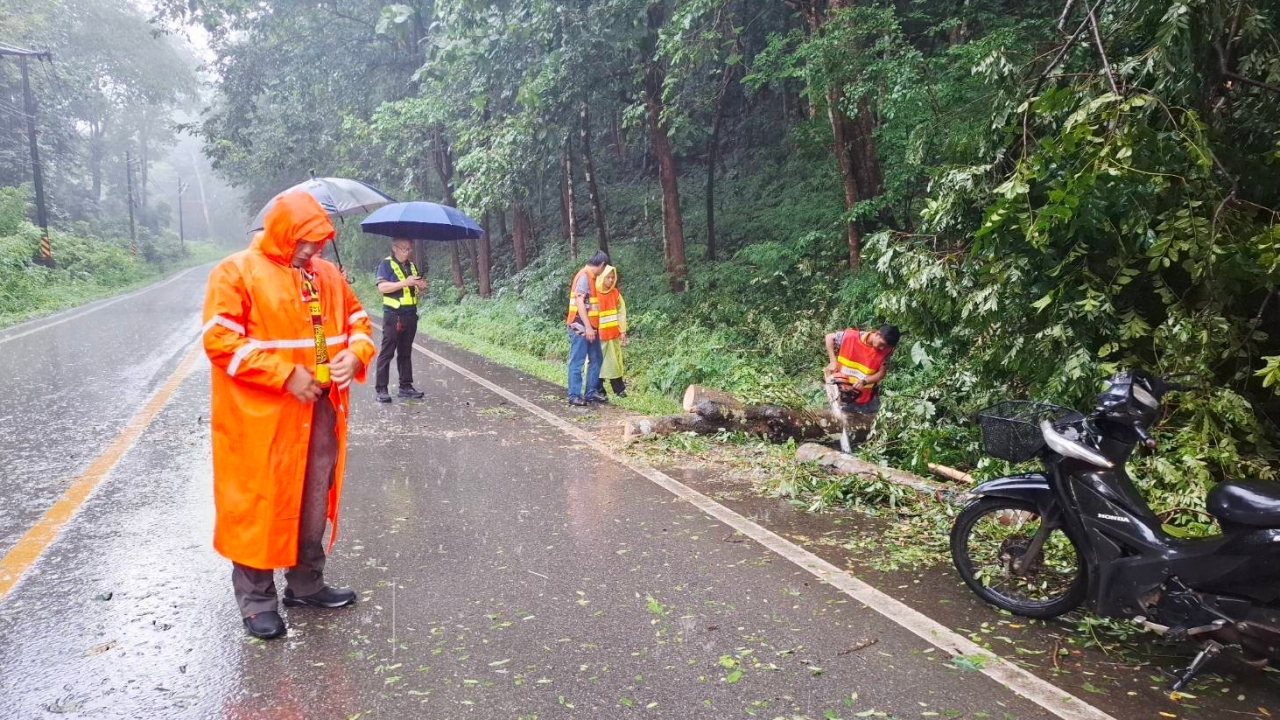 “สิบตำรวจเอก” ดับสลด ขี่ จยย.ฝ่าฝนกลับบ้าน ถูกต้นไม้ใหญ่ล้มทับเสียชีวิต