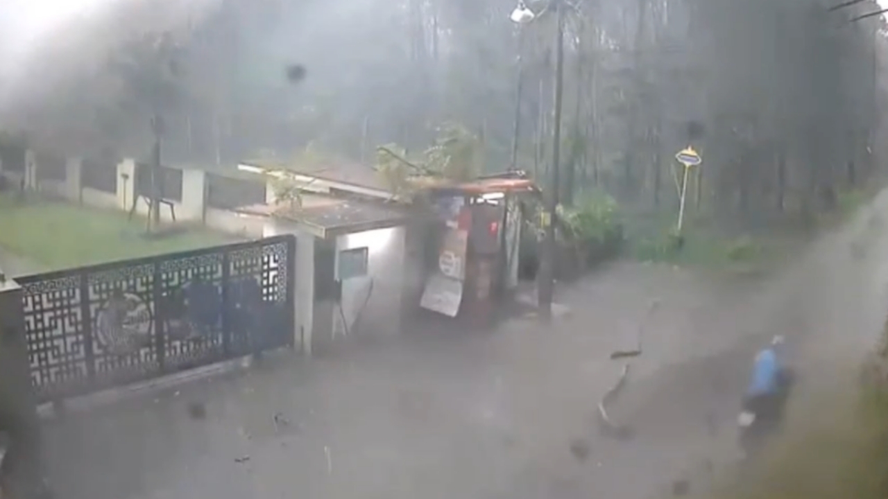 วงจรปิดนาที "พายุฝนลมแรง" ต้นไม้หักโค่นล้มฟาดเสาไฟฟ้า จยย.รอดชีวิตหวุดหวิด