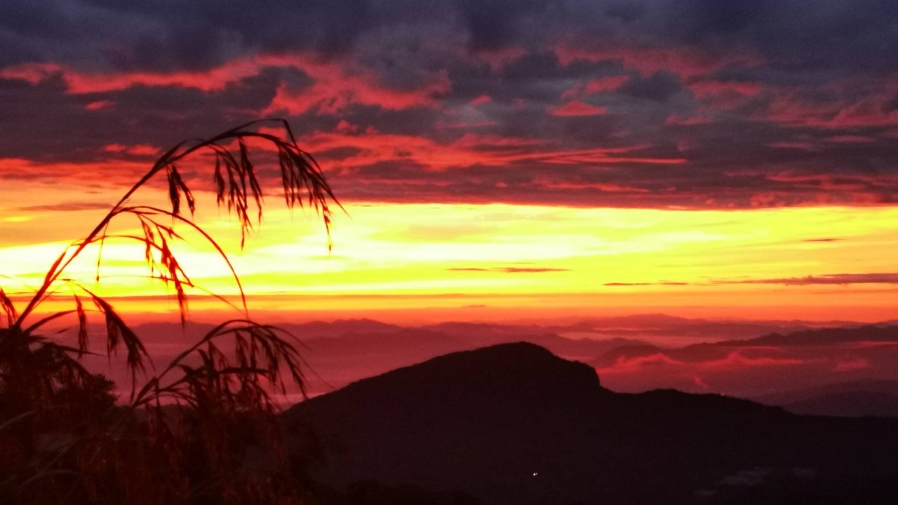 ดอยอินทนนท์เริ่มหนาวแล้ว เช้านี้อุณหภูมิ 12 องศาฯ ท้องฟ้าเปิด-น้ำค้างบนยอดหญ้า