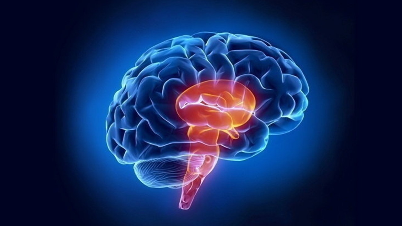 ผลิตภัณฑ์ เบต้า-กลูแคน ข้อมูลวิทยาศาสตร์ที่ควรทราบ (ตอนที่ 2)