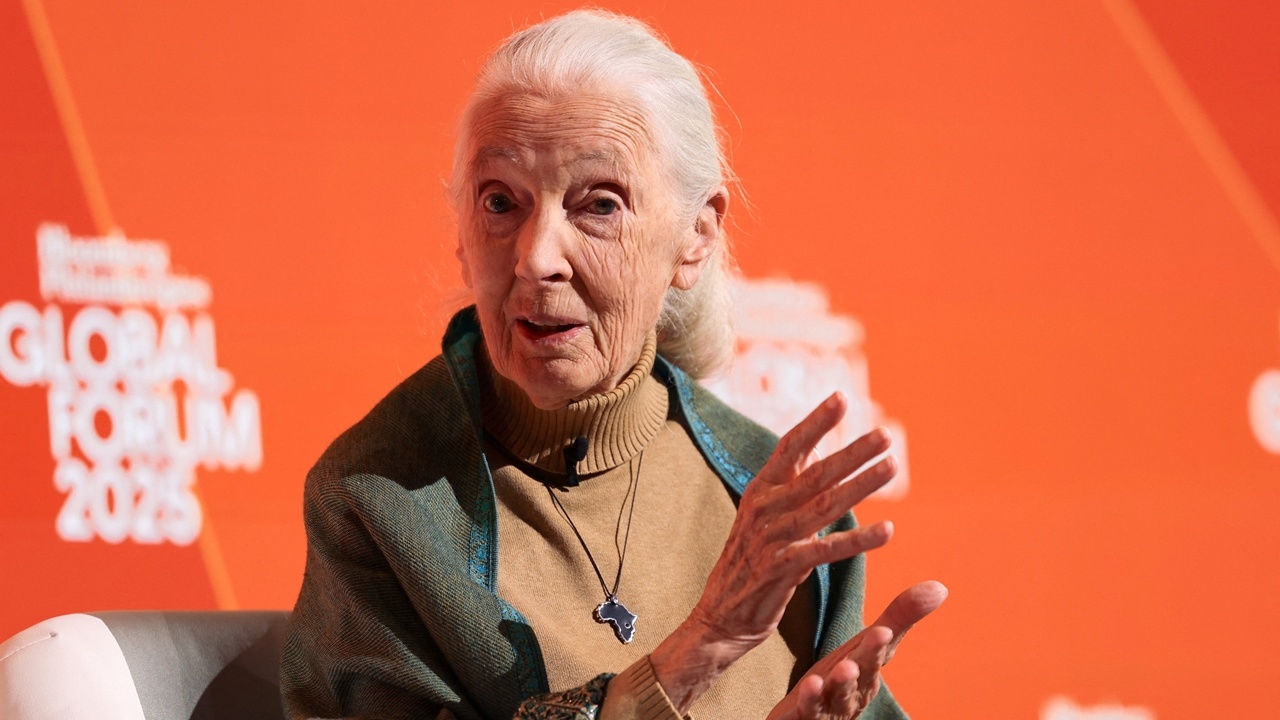 ดร.เจน กูดดอลล์ นักอนุรักษ์ผู้ปฏิวัติการศึกษาวานร เสียชีวิตในวัย 91 ปี