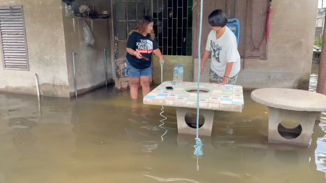ชาวอยุธยา น้ำท่วมบ้านมาแล้ว 3 วัน ผวาต้องลุย "ฝูงปลิงควาย" จำนวนมากตามทางเดิน