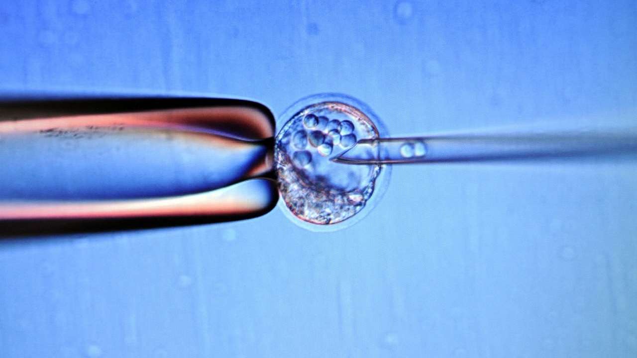 ฮือฮา นักวิทย์สร้างตัวอ่อนมนุษย์ จาก DNA ผิวหนังได้สำเร็จเป็นครั้งแรก