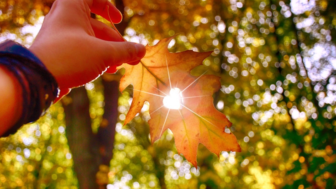 50 แคปชั่นเดือนนี้ ตุลาคม 2568 Hello October รวมคำคมตุลาคมให้แรงบันดาลใจ