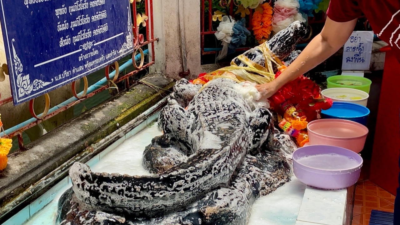 สายมูแห่ "อาบน้ำรูปปั้นจระเข้" วัดลำบัวลอย ไม่พลาดขอ “เลขเด็ดงวดนี้”