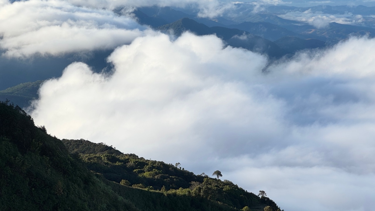 อุตุฯ ประกาศฉบับที่ 6 "อากาศหนาวเย็น" ไทยตอนบน จากนั้นอุณหภูมิจะเริ่มสูงขึ้น