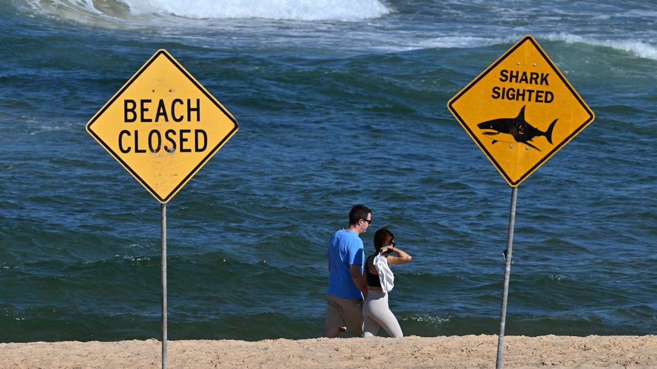 นทท.สาวออสเตรเลียถูกฉลามกัดเสียชีวิตที่ชายหาดรัฐนิว เซาธ์เวลส์ ผู้ชายที่มาด้วยกันบาดเจ็บสาหัส
