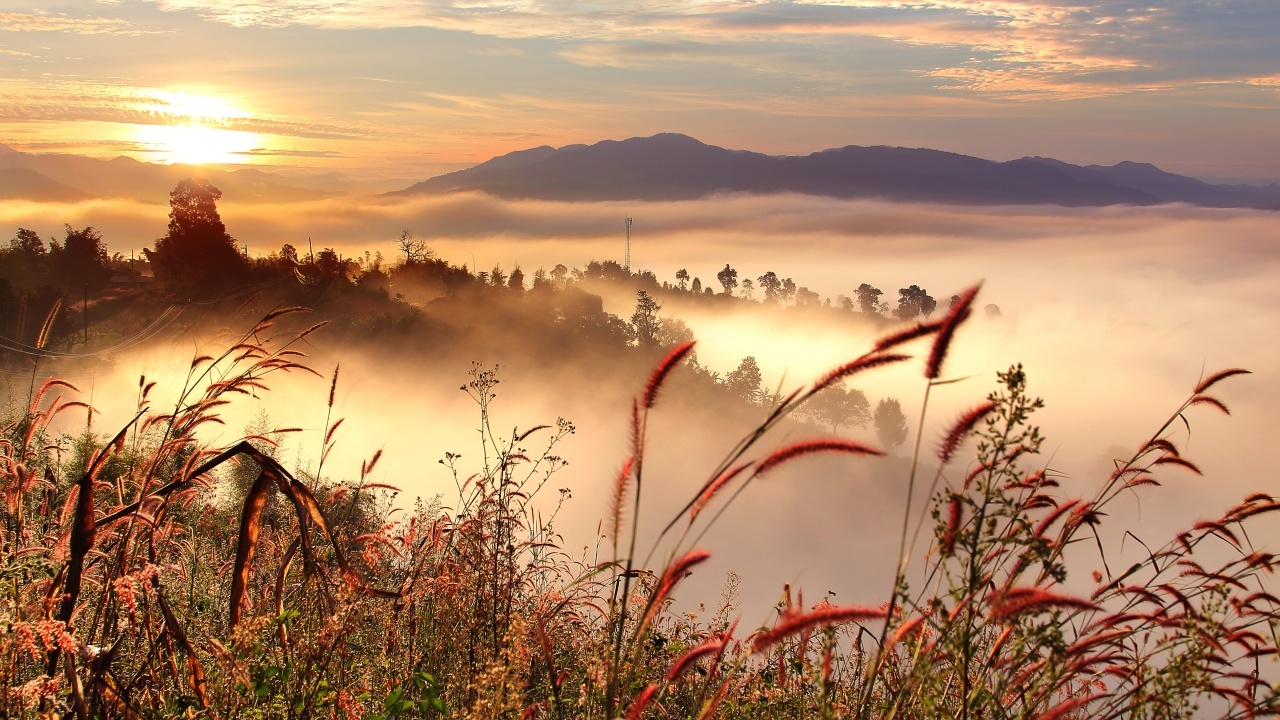 อุตุฯ ฉบับ 2 พายุ "โคโตะ" ไม่เข้าไทย แต่ช่วง 27-29 พ.ย. ไทยตอนบนอุณหภูมิจะลด