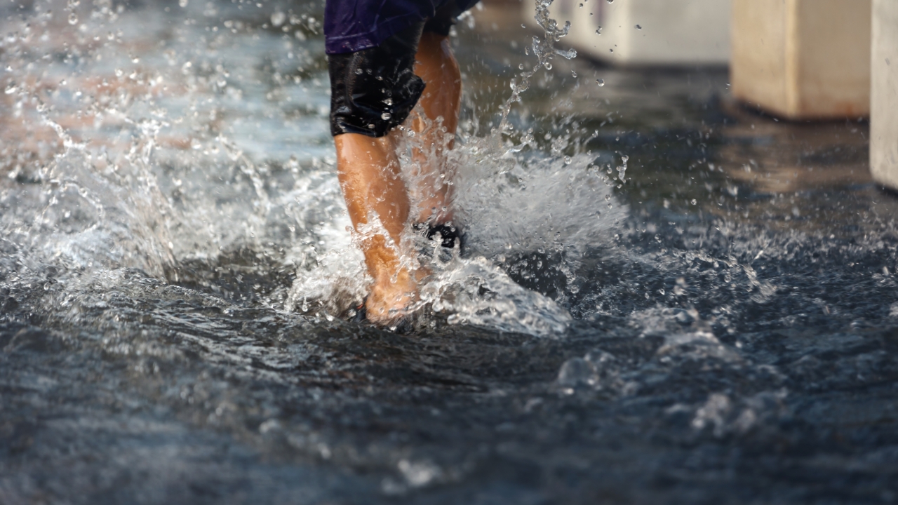 เว็บเช็กรายชื่อผู้อพยพน้ำท่วมหาดใหญ่ 2568 อัปเดตล่าสุดรอดปลอดภัยแล้ว