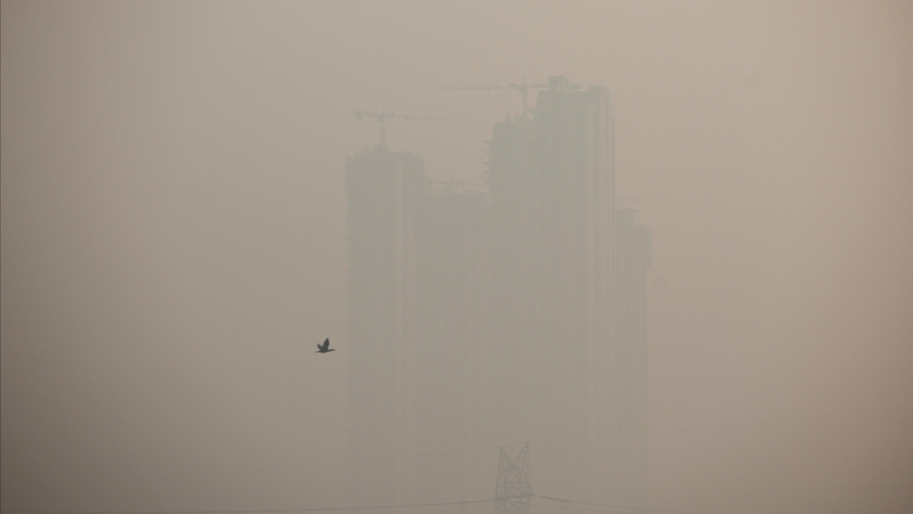 มลพิษเป็นเหตุ เดลีพบคนป่วยทางเดินหายใจเฉียบพลัน 200,000 คนใน 3 ปี