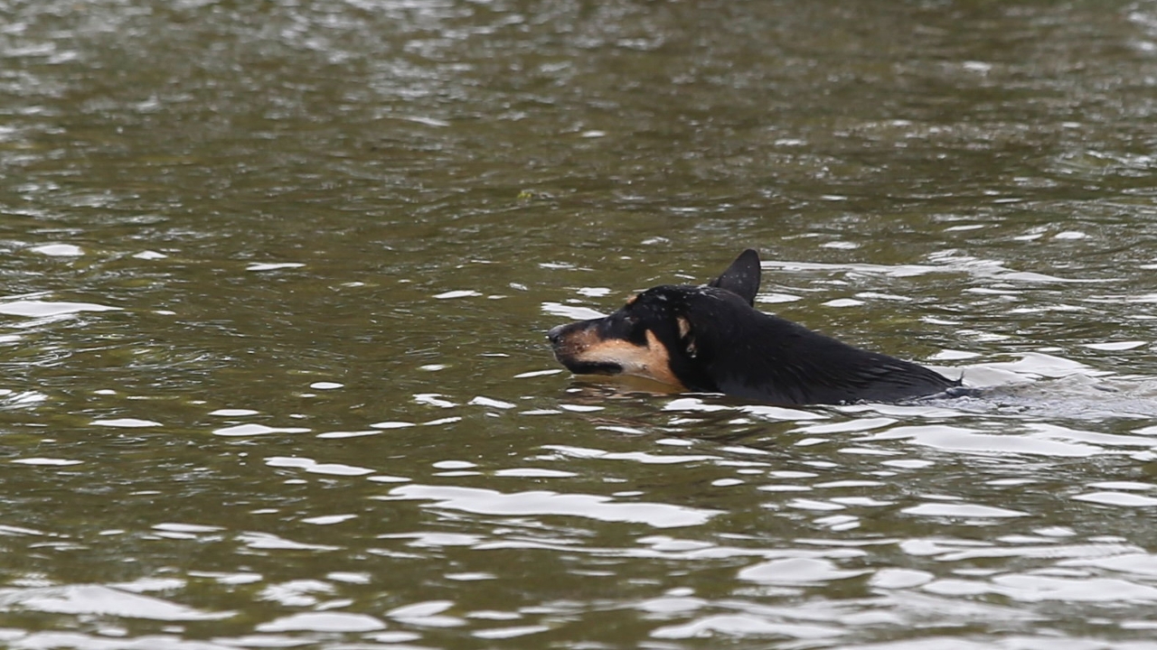 ม.หอการค้าคาดจีดีพีปี 69 โตต่ำสุด 0.9% น้ำท่วมใต้ฉุดจีดีพีปี 68 เหลือโต 1.9% 