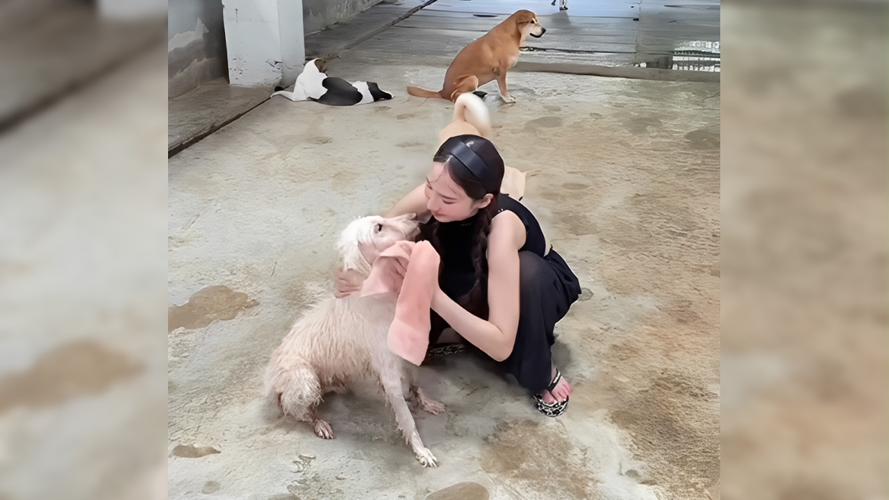 พี่เอ เผยภาพหาดูยาก อั้ม พัชราภา สลัดคราบซุปตาร์ลงมืออาบน้ำน้องหมาจรที่เลี้ยงไว้