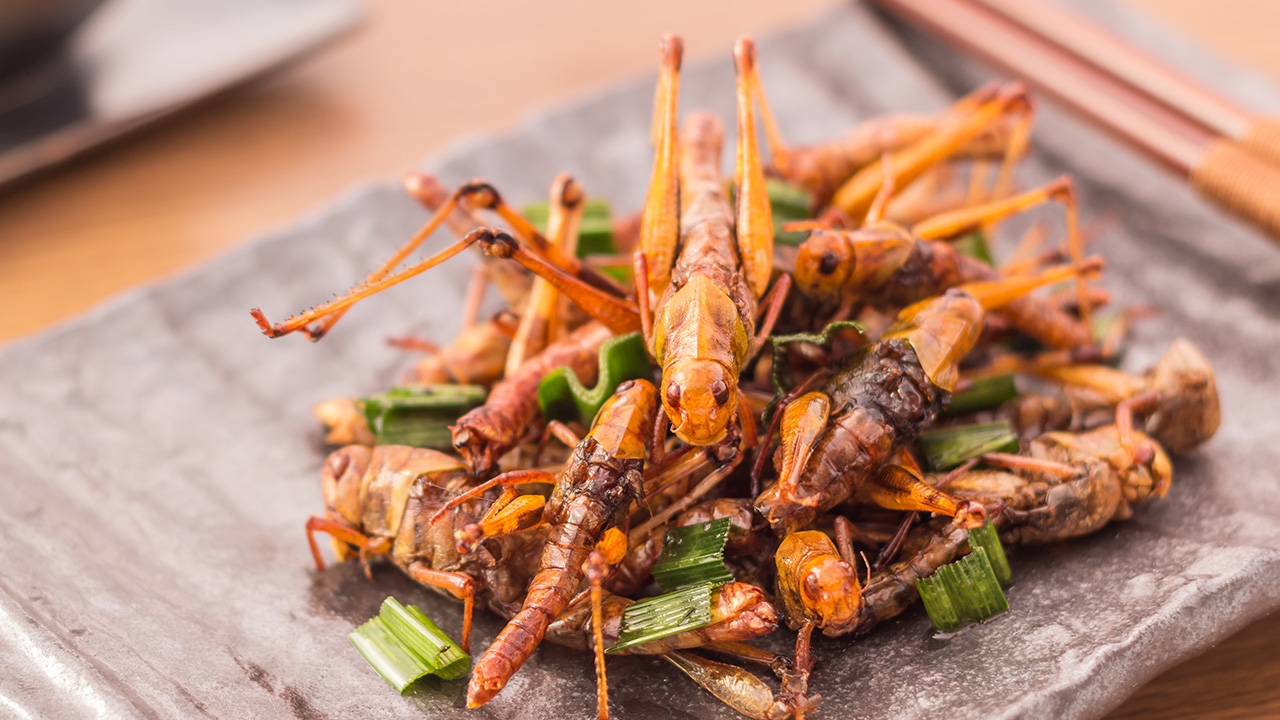 ตั๊กแตนทอดกับยาฆ่าแมลง