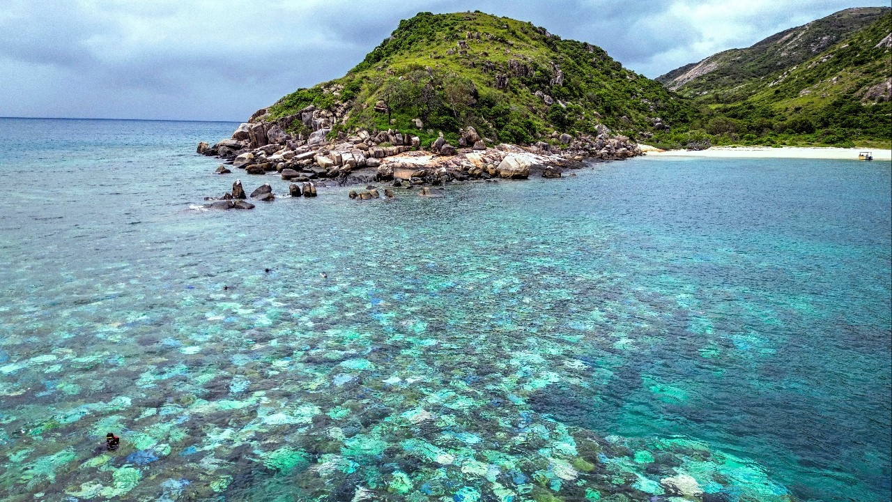 สุดสลด ยายวัย 80 ปี ถูกเรือสำราญทิ้งไว้บนเกาะเกรตแบร์ริเออร์รีฟ สุดท้ายพบเป็นศพ