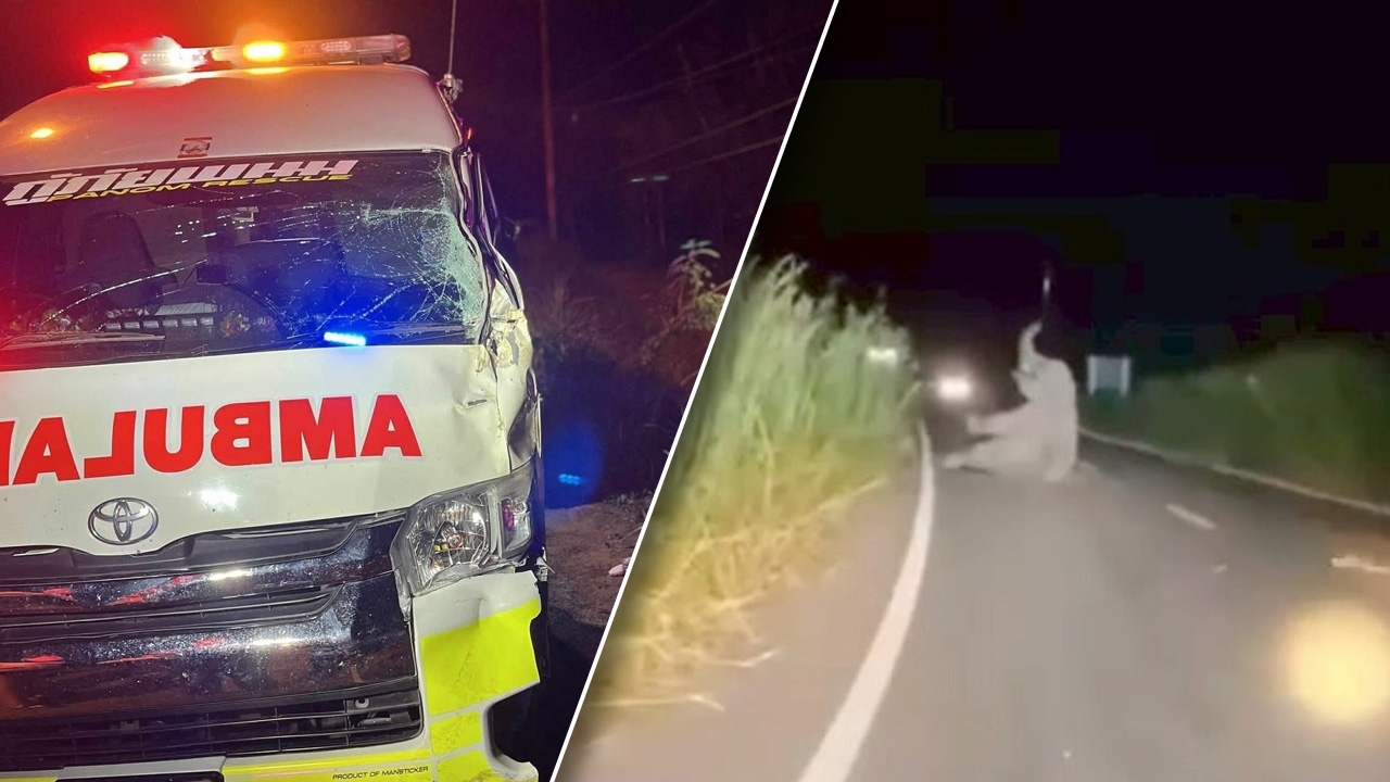 เจ้าหน้าที่เร่งติดตามอาการ “ช้างป่าเขาอ่างฤาไน” หลังถูกรถกู้ภัยชนบาดเจ็บ