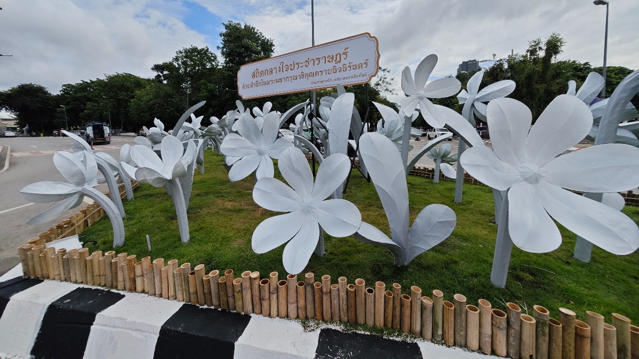 จบดราม่าดอกไม้ดำงานยี่เป็ง เทศบาลนครเชียงใหม่นำดอกไม้ขาวมาติดตั้งแทนแล้ว
