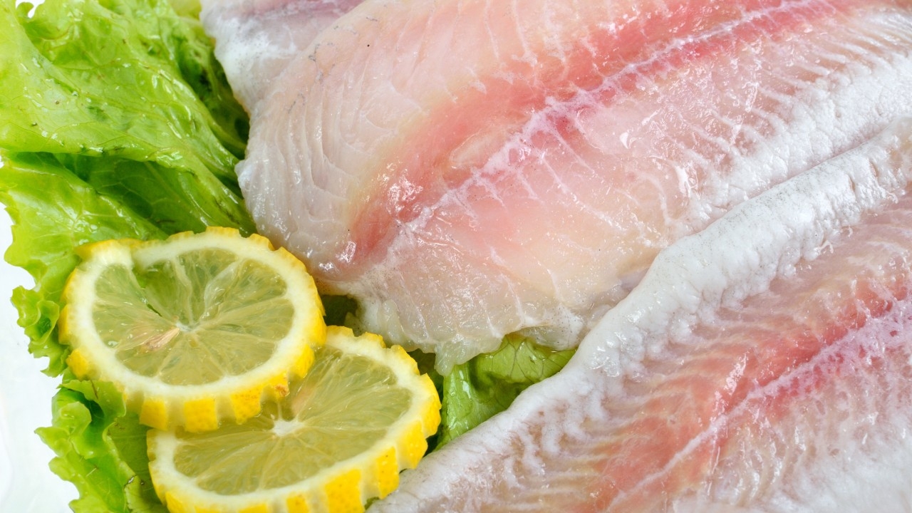 "ปลาดอลลี่" คือปลาอะไร ทำเมนูอะไรได้บ้าง พร้อมประโยชน์จากโปรตีนเนื้อปลา