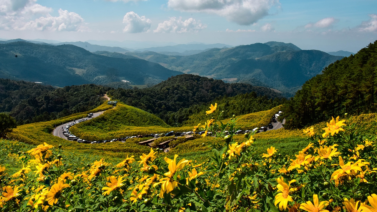 เปิดวาร์ปเส้นทางสายโรแมนติก ขับรถโต้ลมหนาว แอ่วดอยแม่อูคอ ชมทุ่งบัวตองยักษ์