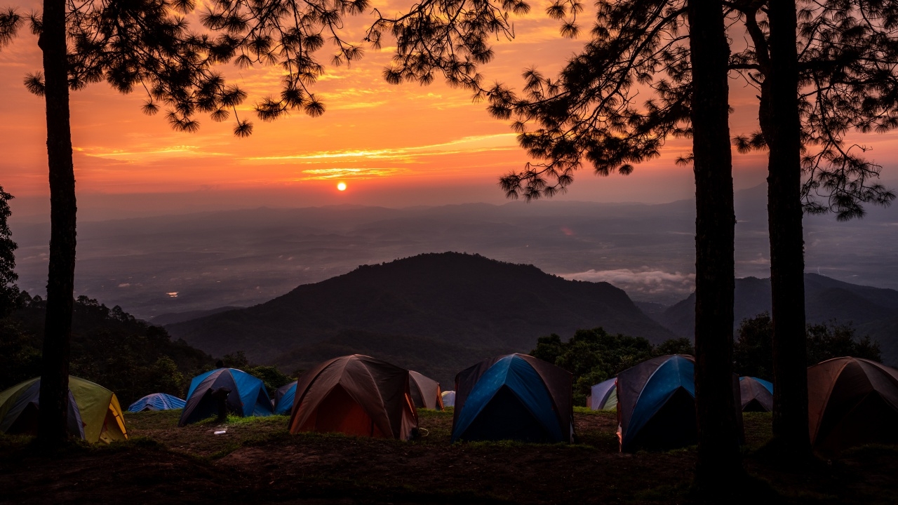 เตือน นทท. เข้าป่ากางเต็นท์ ระวังถูกตัวไรอ่อนกัด เสี่ยงป่วย "โรคไข้รากสาดใหญ่"