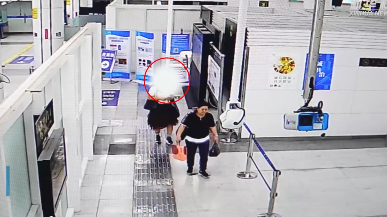 ศุลกากรเซินเจิ้น รวบ 2 หญิงจีน ซุกเต่าแอฟริกาใต้กระโปรง 68 ตัว