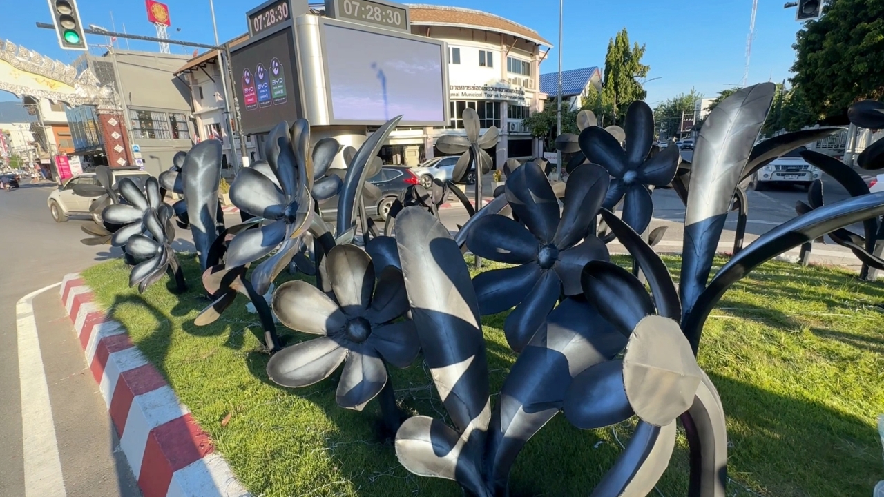 เทศบาลแจงดราม่าดอกไม้สีดำงานยี่เป็งเชียงใหม่ 2568 ยังตกแต่งไม่เสร็จ