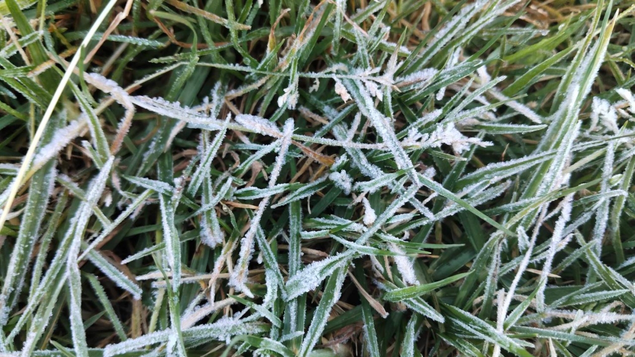 เหมยขาบแรกมาแล้ว เช้านี้ "ดอยอินทนนท์" อากาศหนาวจัด อุณหภูมิเหลือ 4 องศาฯ