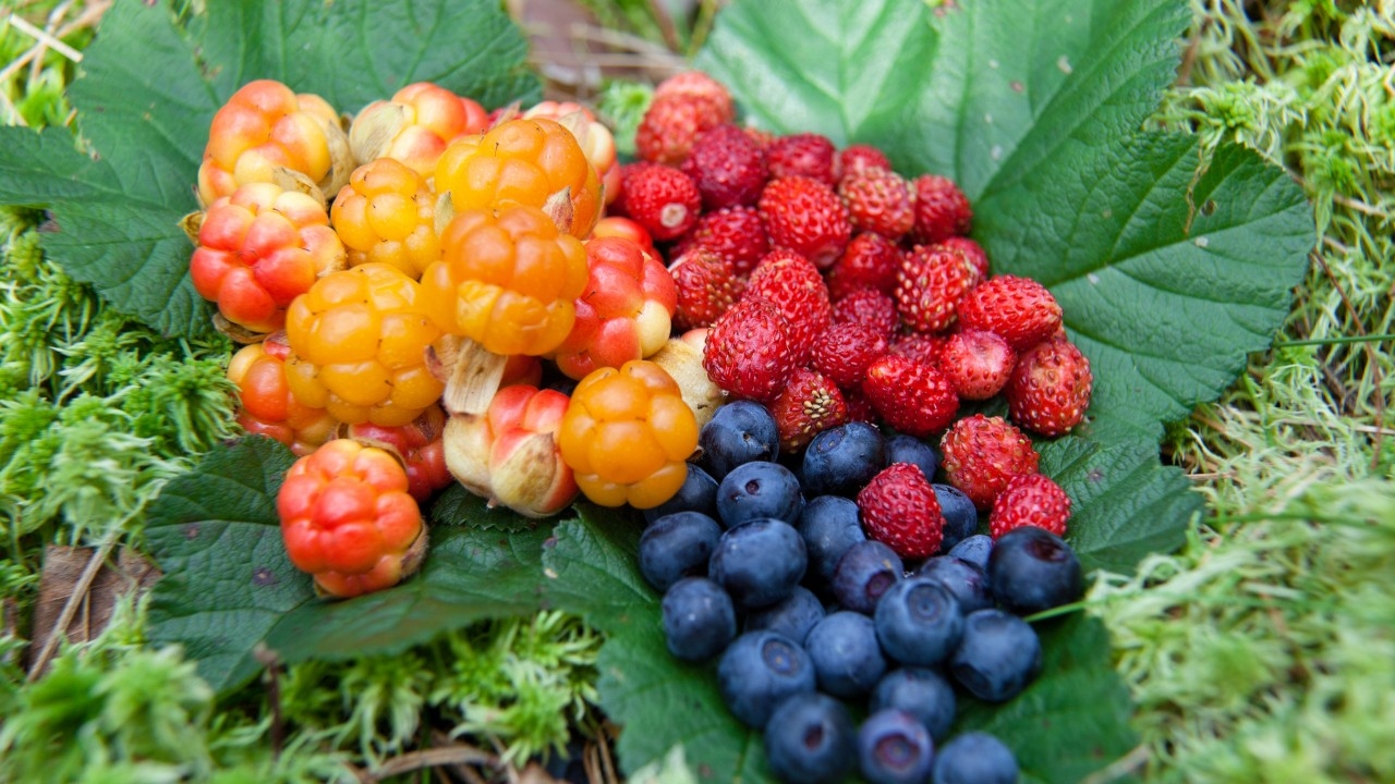 7 อาหารมหัศจรรย์ต้านชรา สารต้านอนุมูลอิสระกับอายุยืน