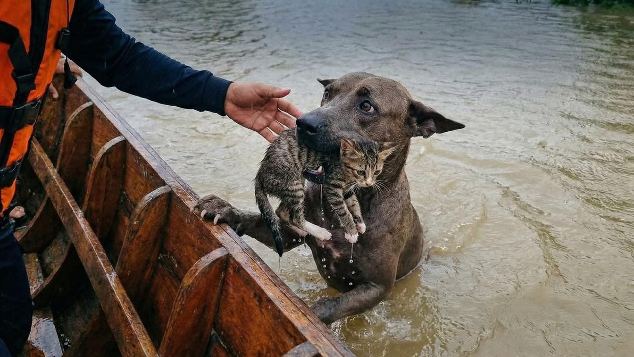 วิธีสังเกตภาพ AI ตั้งสติ รู้ทันก่อนแชร์ภาพปลอม