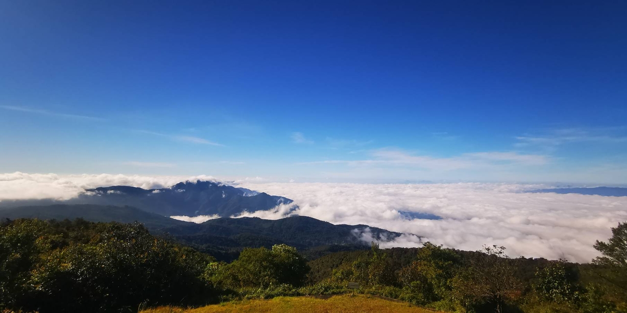 อินทนนท์ยะเยือก อุณหภูมิ 7 องศา นักท่องเที่ยวแน่นดอย ลุ้นสัมผัส "แม่คะนิ้ง" แรกของปี