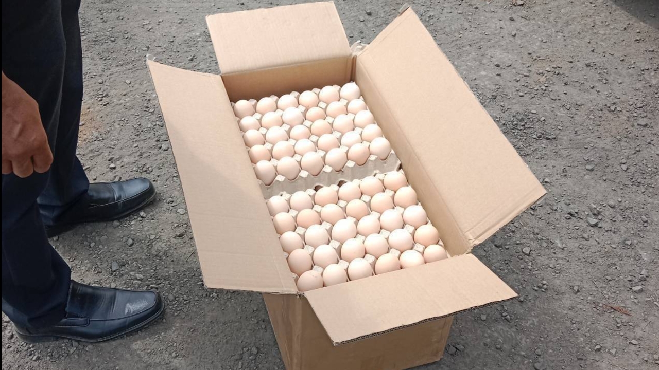 สกัดจับรถขน “ไข่ไก่มีเชื้อ” จากต่างประเทศ กว่า 3.5 แสนฟอง เสี่ยงแพร่ระบาด