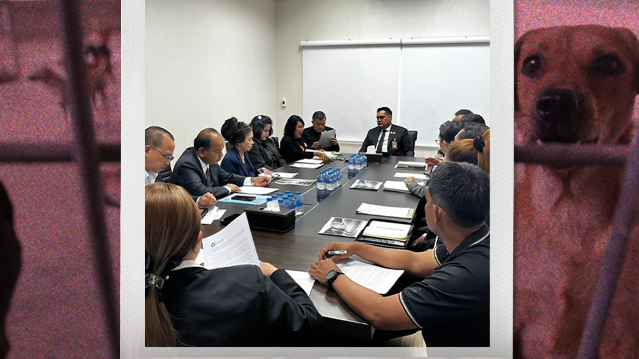 วอชด็อก ไทยแลนด์ บุก ก.เกษตรฯ ยื่นแก้ไข-เพิ่มโทษกฎหมาย “ทารุณกรรมสัตว์” หวังจำคุกเกิน 2 ปี 