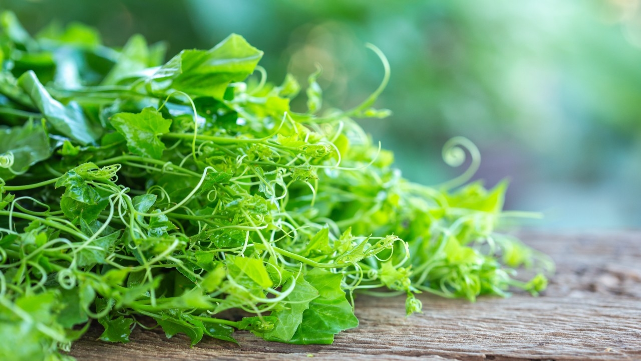 ซุปผักลาวใส่อะไรบ้าง แจกวิธีทำเมนูฮิต อร่อย แซ่บ สุขภาพดี