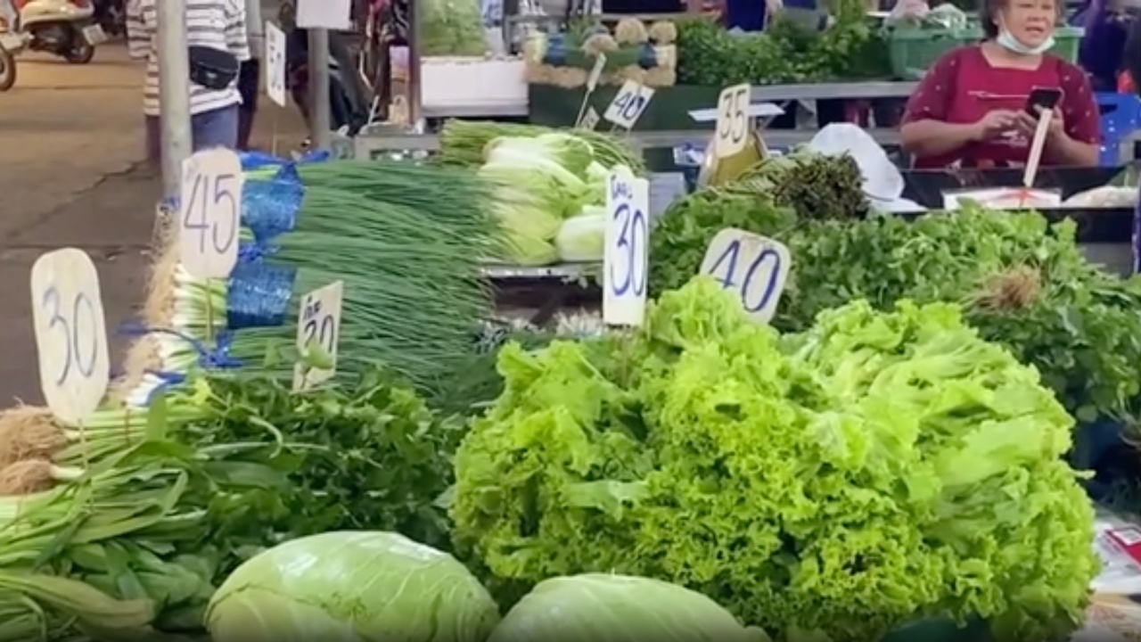 น้ำท่วมเป็นเหตุ "ผัก" พาเหรดขึ้นราคา "ผักชี" กิโลกรัมละ 250 บาท