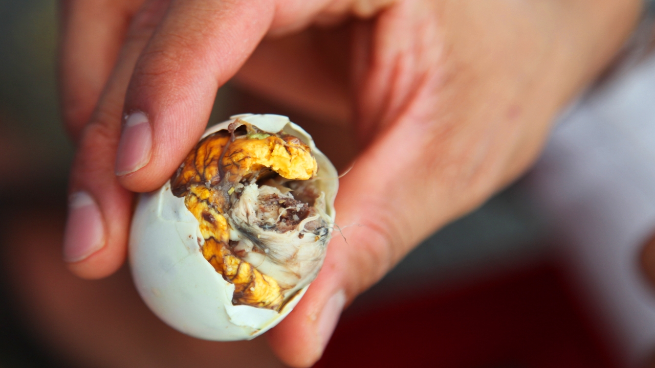 รู้จักไข่ข้าว เมนูสุดแปลก สตรีทฟู้ดถิ่นไทย มีประโยชน์แค่ไหน บำรุงอะไรบ้าง