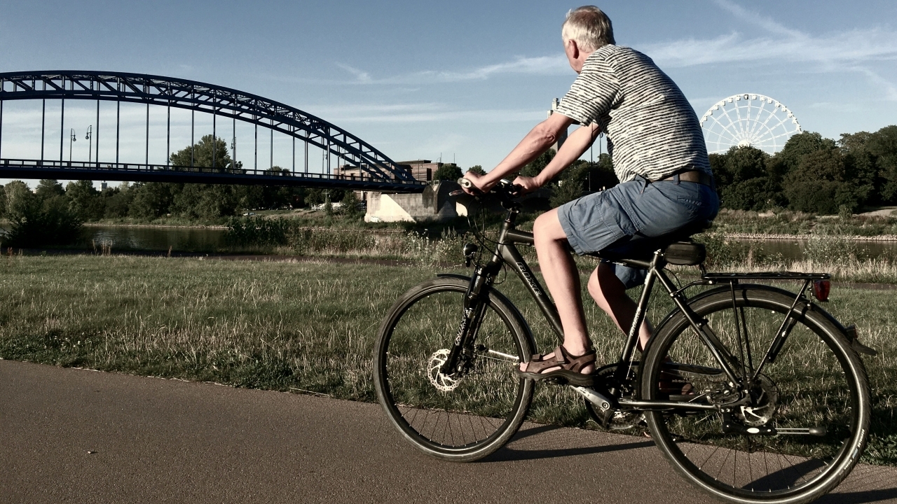 สูตรดูแลสมองเชิงวิทยาศาสตร์ ใช้สมองทุกวัน-ออกกำลังกายสม่ำเสมอ