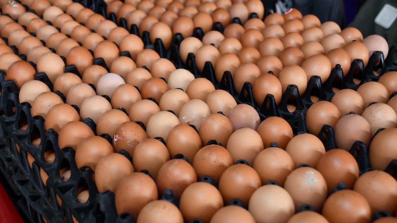 DIT ชี้ราคาไข่ไก่เริ่มดีขึ้น ดันบริโภคเพิ่ม พร้อมลุยช่วยเกษตรกรระบายผลผลิต 3.5 ล้านฟอง