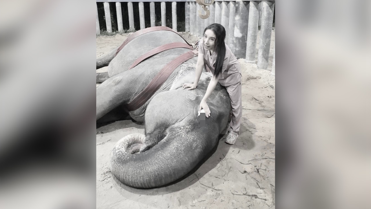 แห่ให้กำลังใจ "หมอโบว์" โพสต์ซึ้งถึง "พังสร้อยฟ้า" บอกไม่ทรมานแล้วนะป้าสร้อย