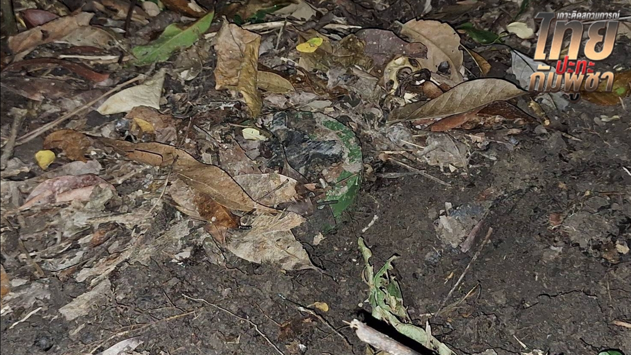 ทบ. เผยยังคงตรวจพบทุ่นระเบิด PMN-2 สภาพใหม่ ต่อเนื่อง อีก 2 ทุ่น ในพื้นที่ช่องอานม้า