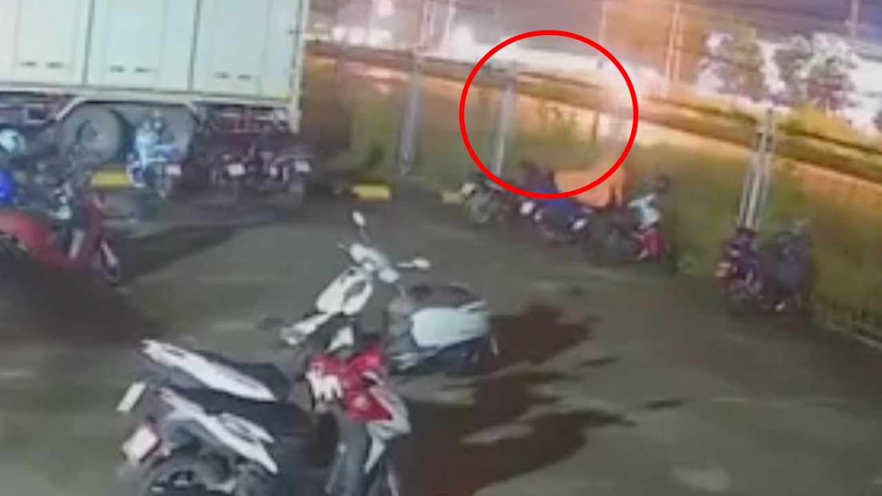 เปิดผลชันสูตรศพ "น้องโตโต้" เด็ก 2 ขวบ หายออกจากบ้าน ก่อนพบเป็นศพอยู่ริมถนน