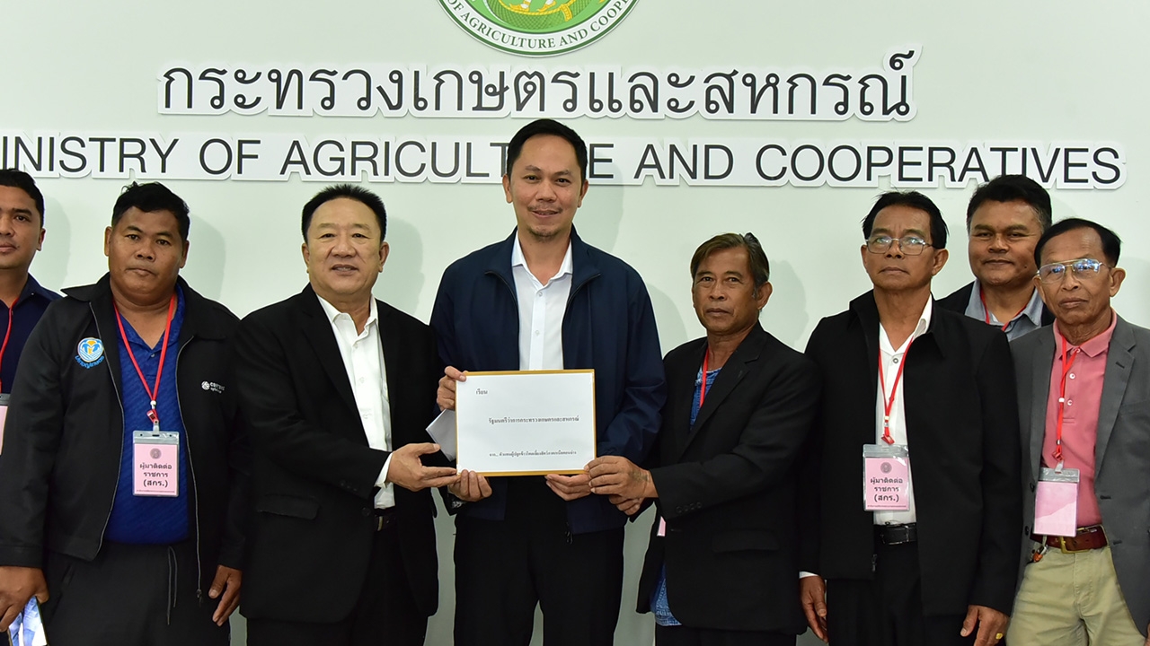 ชาวไร่ค้านนำเข้าข้าวโพด GMO 1 ล้านตัน จี้กระทรวงเกษตรฯ ทบทวนราคาประกันสินค้าเกษตร