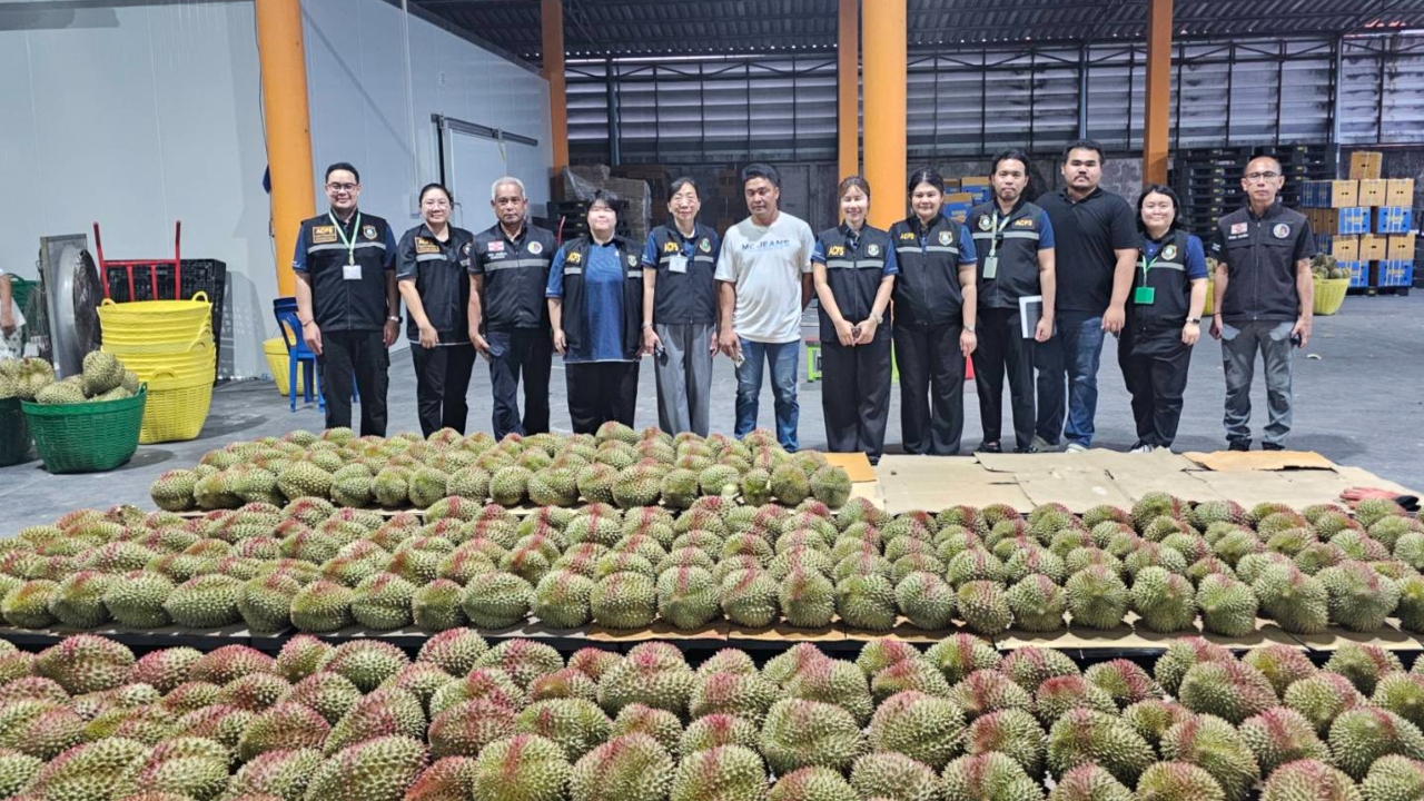 ตรวจพบทุเรียนอ่อน กว่า 500 ลูก ที่ล้งผลไม้ จ.จันทบุรี สั่งรื้อทำตำหนิห้ามส่งออก