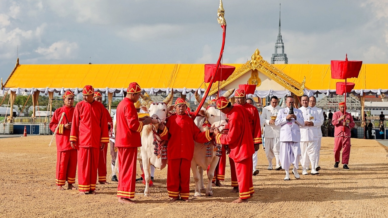 วันพืชมงคล 2569 เปิดประวัติ "พระราชพิธีพืชมงคลจรดพระนังคัลแรกนาขวัญ"