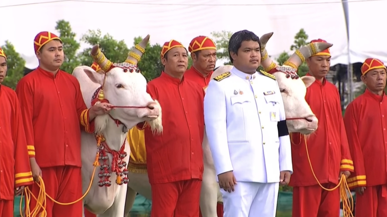 เช้านี้ชุ่มฉ่ำ ฝนตกโปรยปราย “วันพืชมงคล 2569” พระราชพิธีจรดพระนังคัลแรกนาขวัญ
